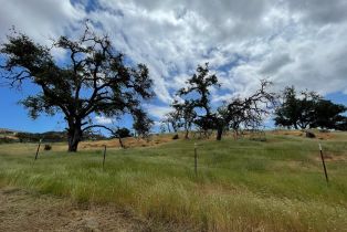 Agriculture,  Chimney Rock road, Napa, CA 94558 - 39