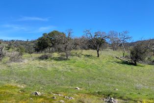 Agriculture,  Chimney Rock road, Napa, CA 94558 - 34