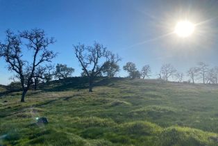 Agriculture,  Chimney Rock road, Napa, CA 94558 - 5