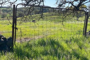 Agriculture,  Chimney Rock road, Napa, CA 94558 - 14