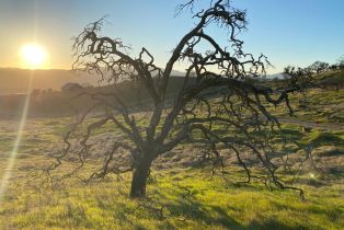 Agriculture,  Chimney Rock road, Napa, CA 94558 - 8