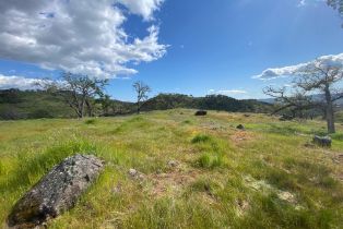 Agriculture,  Chimney Rock road, Napa, CA 94558 - 38