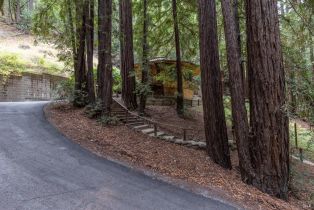 Single Family Residence,  Greenwood lane, Sebastopol, CA 95472 - 4