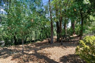 Single Family Residence,  Norton road, Healdsburg, CA 95448 - 27