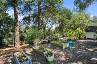 Single Family Residence,  Norton road, Healdsburg, CA 95448 - 25