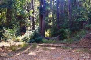 Residential Lot,  Tyrone road, Russian River, CA 95462 - 24