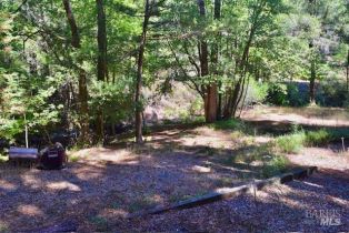 Residential Lot,  Tyrone road, Russian River, CA 95462 - 26