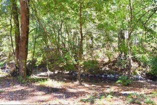 Residential Lot,  Tyrone road, Russian River, CA 95462 - 15