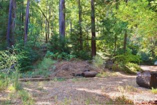 Residential Lot,  Tyrone road, Russian River, CA 95462 - 22