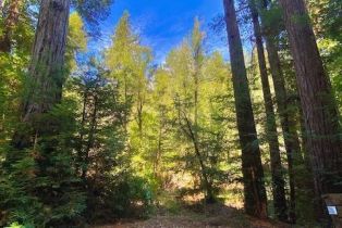 Residential Lot,  Tyrone road, Russian River, CA 95462 - 9