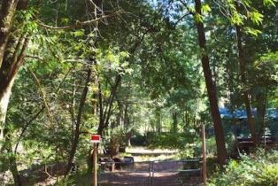 Residential Lot,  Tyrone road, Russian River, CA 95462 - 10