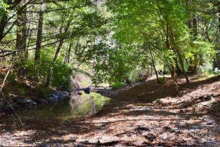 Residential Lot,  Tyrone road, Russian River, CA 95462 - 18