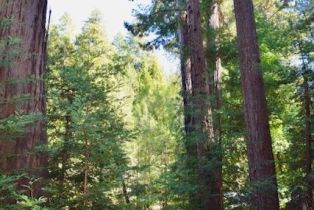 Residential Lot,  Tyrone road, Russian River, CA 95462 - 12