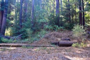 Residential Lot,  Tyrone road, Russian River, CA 95462 - 25