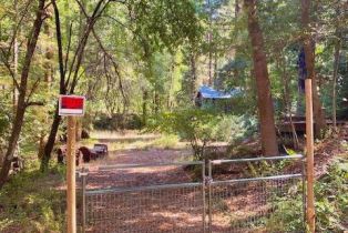 Residential Lot,  Tyrone road, Russian River, CA 95462 - 3