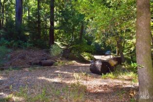 Residential Lot,  Tyrone road, Russian River, CA 95462 - 21