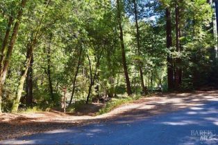 Residential Lot,  Tyrone road, Russian River, CA 95462 - 30