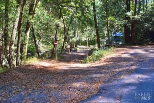 Residential Lot,  Tyrone road, Russian River, CA 95462 - 11