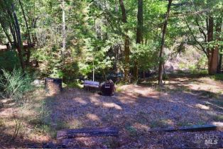 Residential Lot,  Tyrone road, Russian River, CA 95462 - 27