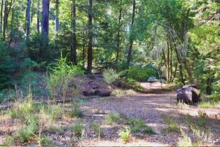 Residential Lot,  Tyrone road, Russian River, CA 95462 - 17