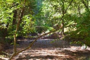 Residential Lot,  Tyrone road, Russian River, CA 95462 - 20