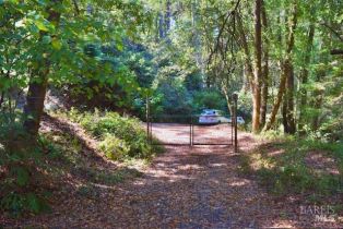 Residential Lot,  Tyrone road, Russian River, CA 95462 - 28