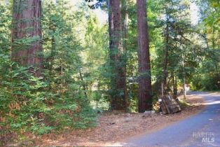 Residential Lot,  Tyrone road, Russian River, CA 95462 - 13