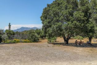 Single Family Residence,  Petrified Forest road, Calistoga, CA 94515 - 8