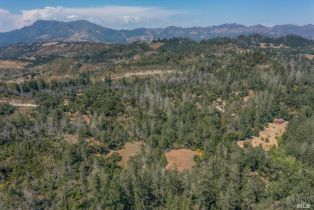 Single Family Residence,  Petrified Forest road, Calistoga, CA 94515 - 49