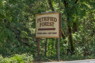 Single Family Residence,  Petrified Forest road, Calistoga, CA 94515 - 54