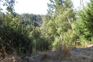 Residential Acreage,  King Ridge road, Russian River, CA 95421 - 18