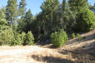 Residential Acreage,  King Ridge road, Russian River, CA 95421 - 20