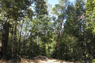 Residential Acreage,  King Ridge road, Russian River, CA 95421 - 10