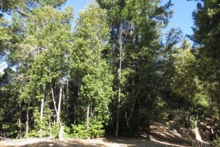 Residential Acreage,  King Ridge road, Russian River, CA 95421 - 11