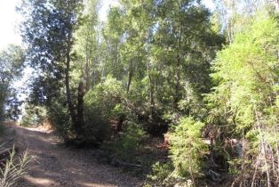 Residential Acreage,  King Ridge road, Russian River, CA 95421 - 5