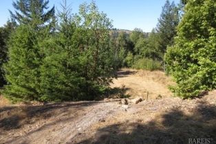 Residential Acreage,  King Ridge road, Russian River, CA 95421 - 14