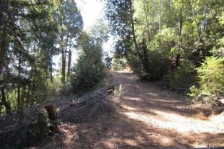 Residential Acreage,  King Ridge road, Russian River, CA 95421 - 4