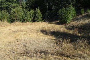 Residential Acreage,  King Ridge road, Russian River, CA 95421 - 19