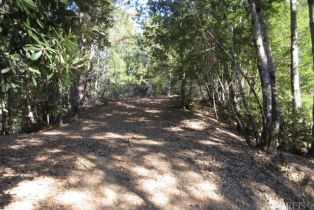 Residential Acreage,  King Ridge road, Russian River, CA 95421 - 9