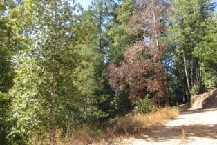 Residential Acreage,  King Ridge road, Russian River, CA 95421 - 8