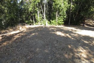 Residential Acreage,  King Ridge road, Russian River, CA 95421 - 12