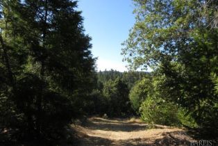 Residential Acreage,  King Ridge road, Russian River, CA 95421 - 13