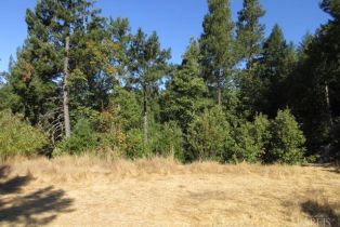 Residential Acreage,  King Ridge road, Russian River, CA 95421 - 21