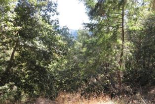 Residential Acreage,  King Ridge road, Russian River, CA 95421 - 22