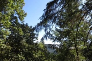 Residential Acreage,  King Ridge road, Russian River, CA 95421 - 23