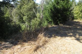 Residential Acreage,  King Ridge road, Russian River, CA 95421 - 17