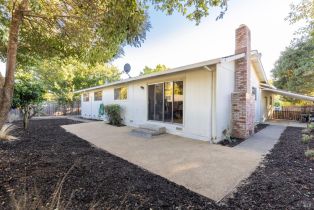 Single Family Residence,  School street, Sonoma, CA 95476 - 26