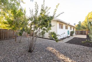 Single Family Residence,  School street, Sonoma, CA 95476 - 30