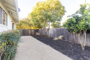 Single Family Residence,  School street, Sonoma, CA 95476 - 32