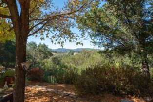 Single Family Residence,  Burgundy road, Healdsburg, CA 95448 - 3